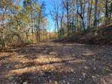 14 AC Old Burnt Mountain - Photo 4