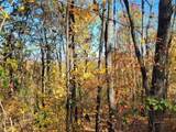 14 AC Old Burnt Mountain - Photo 6