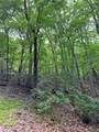 1649 Moss Patch Trail - Photo 17