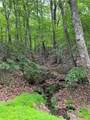 1649 Moss Patch Trail - Photo 18