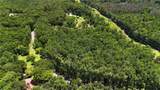 285 Skeet Shoot Road - Photo 69