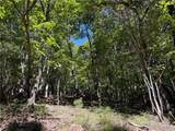 0 Moss Patch Trail - Photo 2