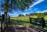 746 Dot Road - Photo 55
