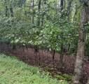 0 Enchanted Woods Drive - Photo 3