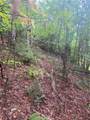 27 Mountain Creek Hollow Drive - Photo 12