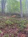 27 Mountain Creek Hollow Drive - Photo 14