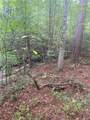 27 Mountain Creek Hollow Drive - Photo 15