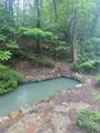27 Mountain Creek Hollow Drive - Photo 8