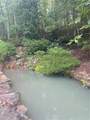 27 Mountain Creek Hollow Drive - Photo 9