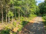 LOT 9 Brushy Top Drive - Photo 14