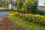 LT 290 Anglers Ridge Road - Photo 11