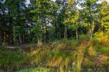 LT 290 Anglers Ridge Road - Photo 14