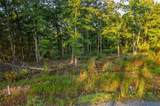 LT 290 Anglers Ridge Road - Photo 15