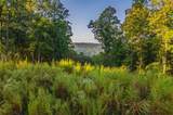 LT 290 Anglers Ridge Road - Photo 16