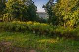 LT 290 Anglers Ridge Road - Photo 18