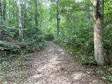 201 Black Bear Trace - Photo 1