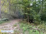 201 Black Bear Trace - Photo 5