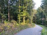 201 Black Bear Trace - Photo 8