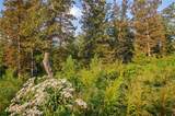 0 High River Road - Photo 3