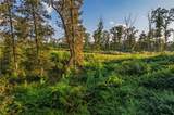 0 High River Road - Photo 6