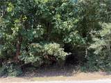 2390 Trailwood Drive - Photo 6