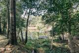 3425 Bulloch Lake Road - Photo 31