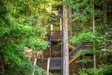 571 Misty Mountain Trail - Photo 76
