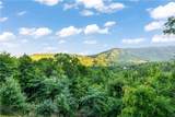 676 Deer Crest Overlook - Photo 53