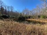 1038 Wilkins Cove Road - Photo 86