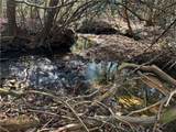 1038 Wilkins Cove Road - Photo 88