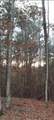 2771 Carey Station Rd Street - Photo 5