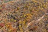 LT 17R Tanager Trail - Photo 10