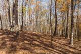 LT 17R Tanager Trail - Photo 2