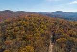 LT 17R Tanager Trail - Photo 21