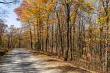 LT 17R Tanager Trail - Photo 25