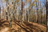 LT 17R Tanager Trail - Photo 3