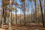 LT 17R Tanager Trail - Photo 4