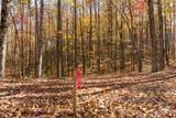 LT 17R Tanager Trail - Photo 7