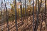 LT 17R Tanager Trail - Photo 8