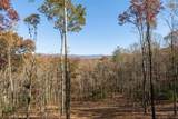 LT 17R Tanager Trail - Photo 9
