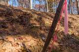 LOT 39 Preserve Trail - Photo 22