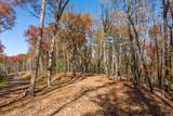 LOT 41 Preserve Trail - Photo 12