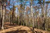 LOT 41 Preserve Trail - Photo 13