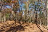 LOT 41 Preserve Trail - Photo 14