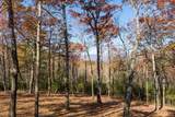 LOT 41 Preserve Trail - Photo 5