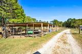 1189 Paul Harris Road - Photo 17