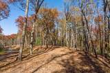 LOT 40 Preserve Trail - Photo 12