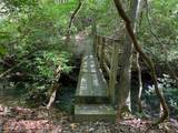 26 Chestnut Oak Point - Photo 31