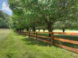 311 Bailey Farm Lane - Photo 46