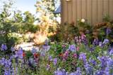 1241 Scenic Drive - Photo 75